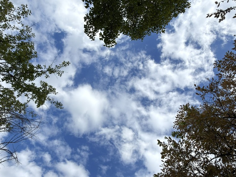 寝転んで見上げた空